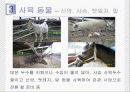 진팔보 사슴농장 견학기 8페이지