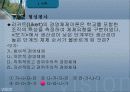 교육행정 정리와 문제(발표자료)(ppt) 14페이지