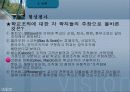 교육행정 정리와 문제(발표자료)(ppt) 35페이지