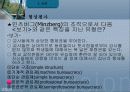 교육행정 정리와 문제(발표자료)(ppt) 36페이지