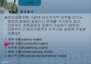 교육행정 정리와 문제(발표자료)(ppt) 42페이지