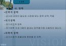 교육행정 정리와 문제(발표자료)(ppt) 44페이지