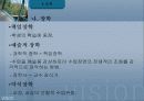 교육행정 정리와 문제(발표자료)(ppt) 45페이지