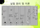케미컬 가든 실험 방법 6페이지