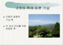 부석사를 다녀와 건물의 특징에 관하여 설명한 파워포인트 자료 입니다. 7페이지