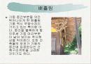 부석사를 다녀와 건물의 특징에 관하여 설명한 파워포인트 자료 입니다. 22페이지