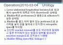  urachal cyst 20페이지