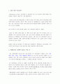 G20 정상회의 완벽정리 그리고 한국 2010년 G20 개최의 모든것과 이를 보는 나의 견해 3페이지