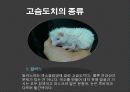 고슴도치 요점정리 8페이지