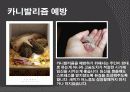 고슴도치 요점정리 15페이지