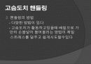 고슴도치 요점정리 17페이지