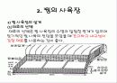 꿩 요점정리 12페이지
