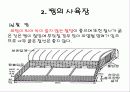 꿩 요점정리 16페이지