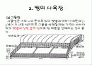 꿩 요점정리 17페이지