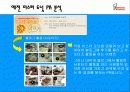 미스터 도넛의 인지도를 높이기 위한 마케팅PR전략 5페이지