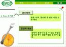 [서비스마케팅] 기업 서비스마키팅 분석, 크라제버거, 맥도널드, 프랜차이즈 14페이지