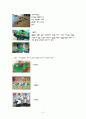 참관감상문 10페이지