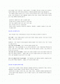 정보시스템(CBIS)의 의의와 분류/중요성 [정보시스템 분석]  2페이지
