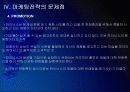 하이닉스 마케팅전략의 문제점과 해결방안 PPT자료 11페이지