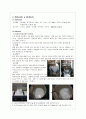 두부 제조 및 품질평가 4페이지