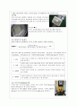 두부 제조 및 품질평가 5페이지