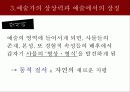 캇시러의 예술론 16페이지