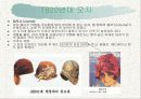 1900-1960년대 서양의 헤어스타일 및 모자 완벽 정리 11페이지