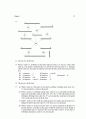 [Solution] Computer Networks 3th(컴퓨터통신 3판) 솔루션 - Larry L.Peterson Bruce S.Davie   30페이지