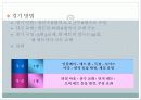 배구 ppt  20페이지