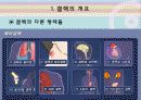 결핵 파워포인트  13페이지