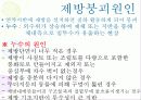 하천 및 제방 16페이지