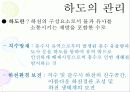 하천 및 제방 21페이지