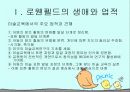 로웬펠드의 아동발달 단계에 관한 그림분석 4페이지