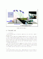 감시레이더 40페이지