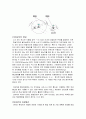 GPS와DGPS 24페이지