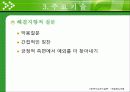 (사회복지실천기술론) 해결중심모델보고서 PPT, 해결중심모델 사례적용 14페이지