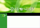(사회복지실천기술론) 해결중심모델보고서 PPT, 해결중심모델 사례적용 32페이지