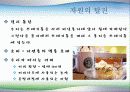 어플루앤자 - 풍요의 시대 소비중독바이러스 / 현대소비문화에 대하여 9페이지