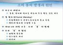어플루앤자 - 풍요의 시대 소비중독바이러스 / 현대소비문화에 대하여 13페이지