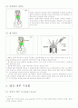 자동차 엔진 분해 순서 7페이지