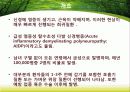 길랑바레에 관한 최신지견 3페이지