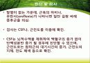 길랑바레에 관한 최신지견 8페이지