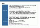 영국 경찰에 대한 이해  3페이지