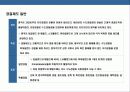 영국 경찰에 대한 이해  12페이지