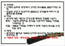 유아교육역사 31페이지