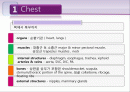 흉부외관 수술 2페이지