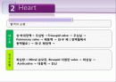 흉부외관 수술 21페이지