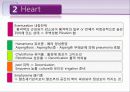 흉부외관 수술 32페이지