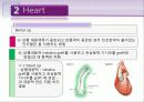 흉부외관 수술 35페이지