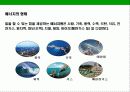 지구온난화 현상과 교토 의정서 (Kyoto Protocol) 에 대한 이해  7페이지